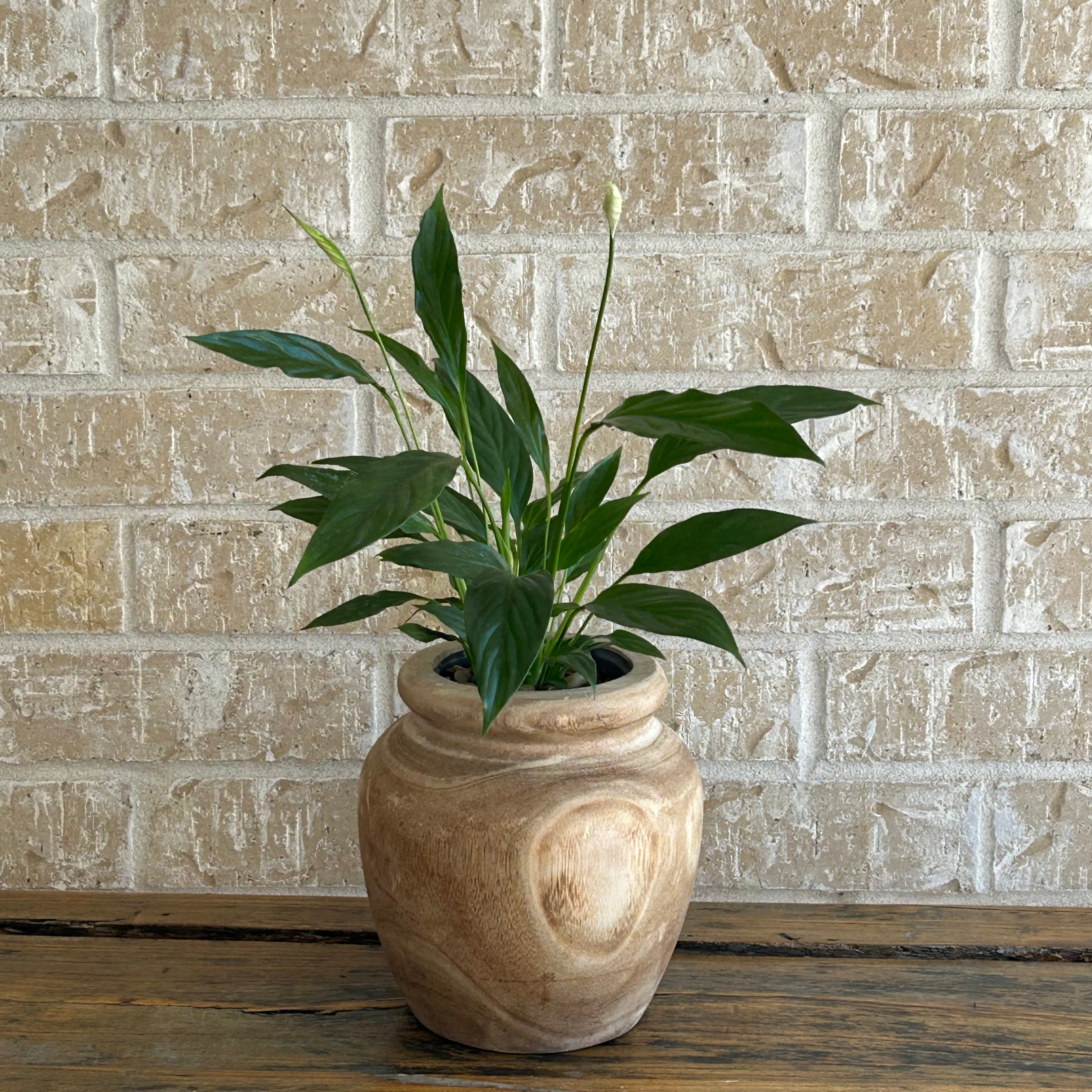 Peace lily in handcrafted wooden pot