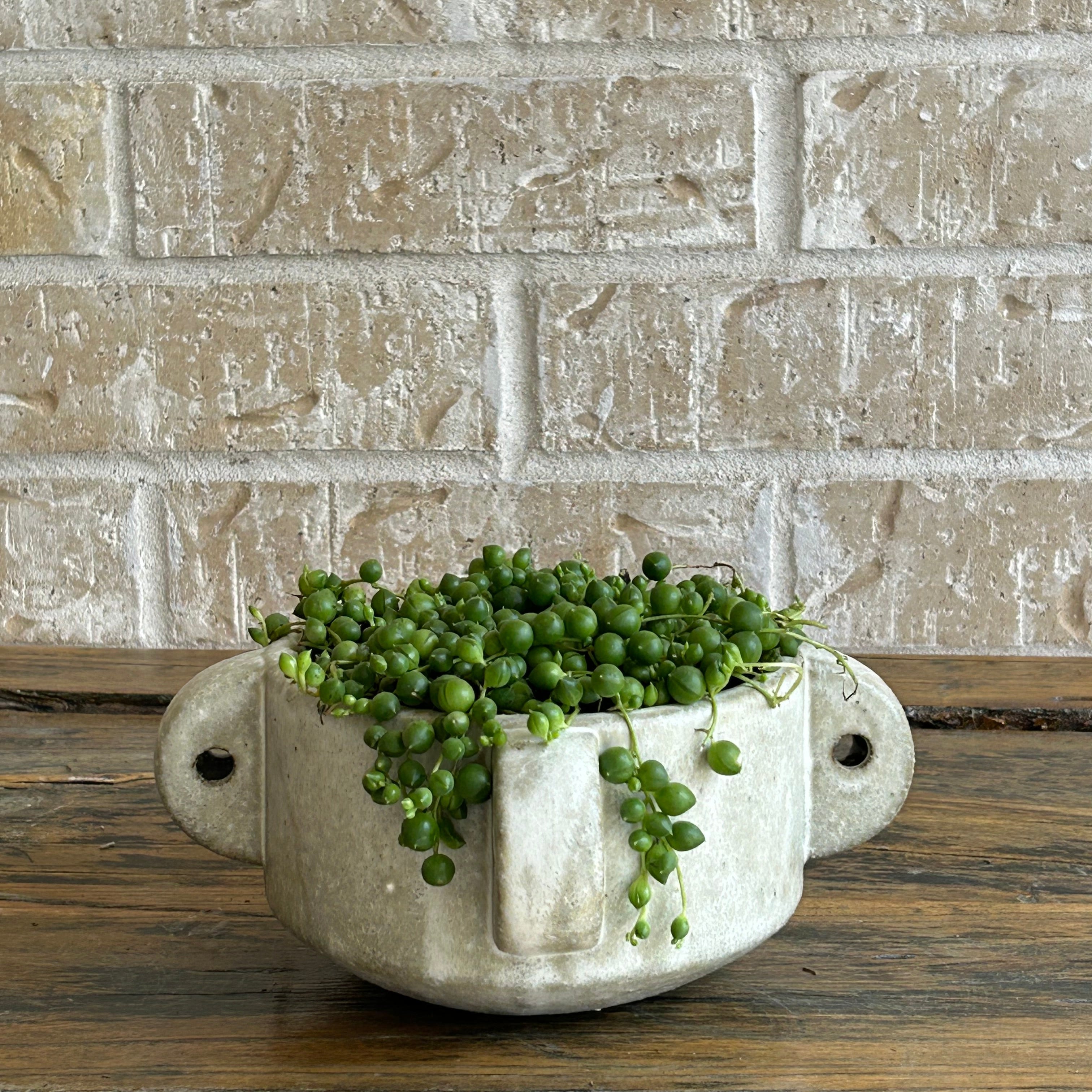 String of beads in a low clay planter